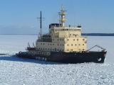 Icebreaker Voima