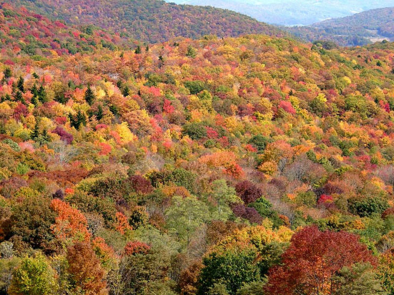 Fall Colors at Grayson Highlands State Park photo Mark Holmes photos