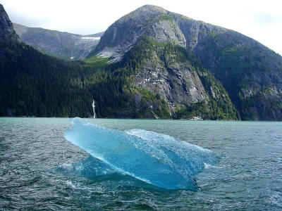 Ice Floe in Tracy Arm fiord
