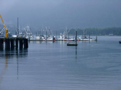 Fog rises over Petersburg fishing  fleet