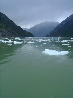 Floating ice in Tracy Arm Fjord