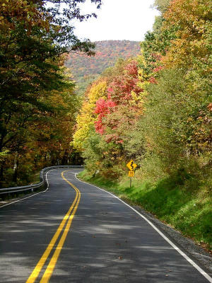 Fall Colors - Hwy 58 - Near Grayson Highlands State Park