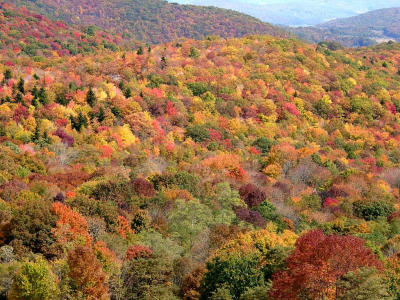 Fall Colors at Grayson Highlands State Park