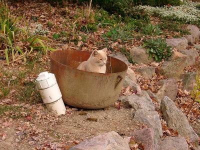 Some of us sit on the pot , well I prefer in the pot