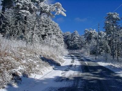 Road up Whitetop Mtn - Highest Mountain in Virginia that one can drive to.