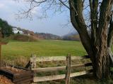 Typical Farm Scene near Troutdale, VA