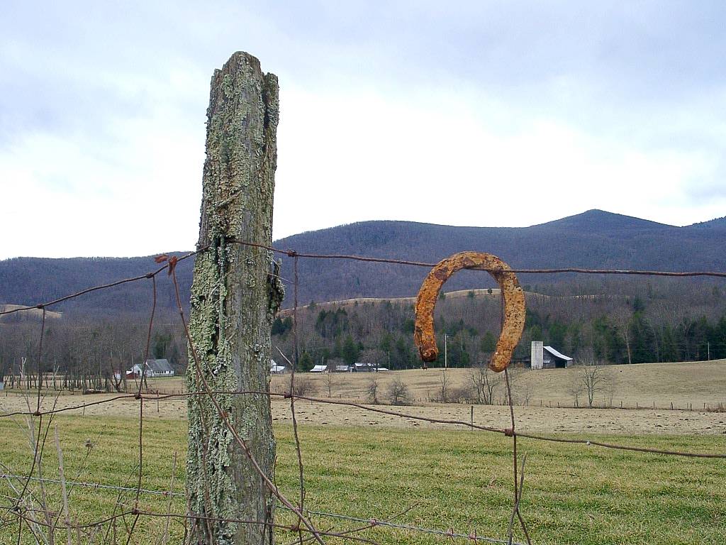 Horseshoe on fence - Troutdale, VA