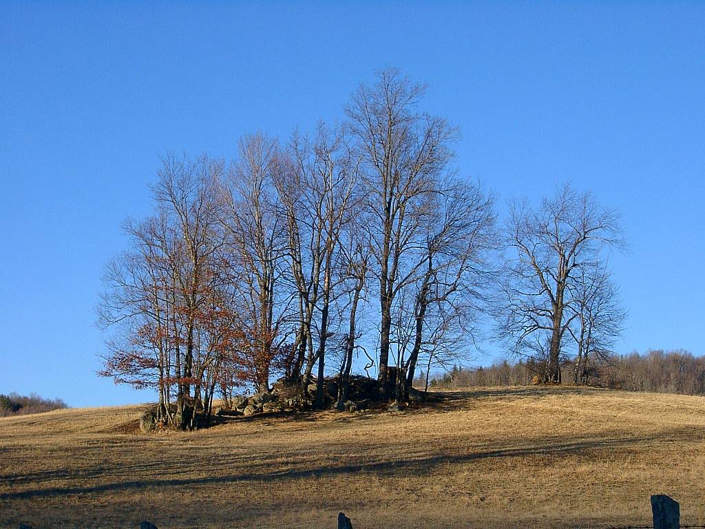 Sentinels on the Hilltop