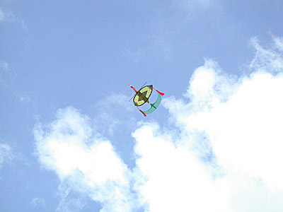 DSCN0738-in the air.jpg