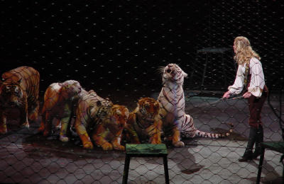 Circus - Tiger trainer 3.jpg