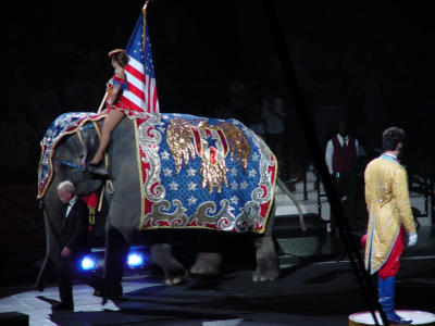Circus - patriotic Pachaderm1.jpg
