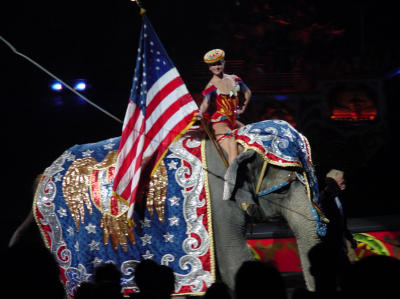 Circus - patriotic Pachaderm2.jpg