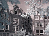 Infra Red Photography