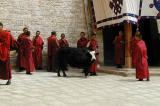 193 - Monks, Ganden Monastery