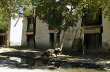 272 - Gyantse, Main Street