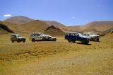 317 - Jeeps