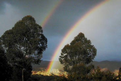 Rainbow-behind-our-fence.jpg