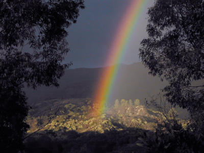 Rainbow behind our yard