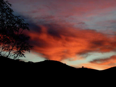 Backyard-Sunrise.jpg