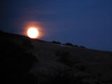 Moonrise-on-hill.jpg