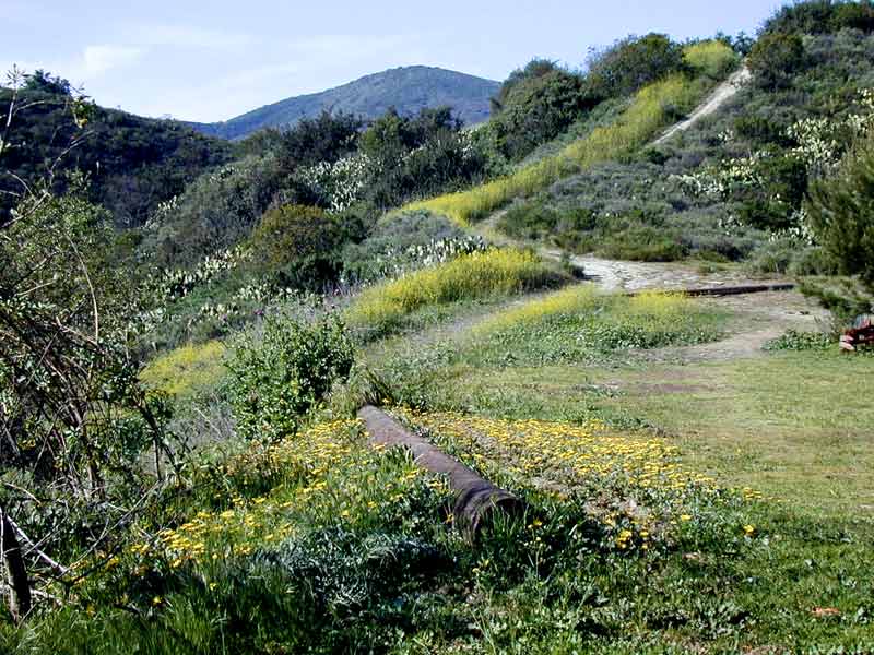 Trail.above our neighborhood