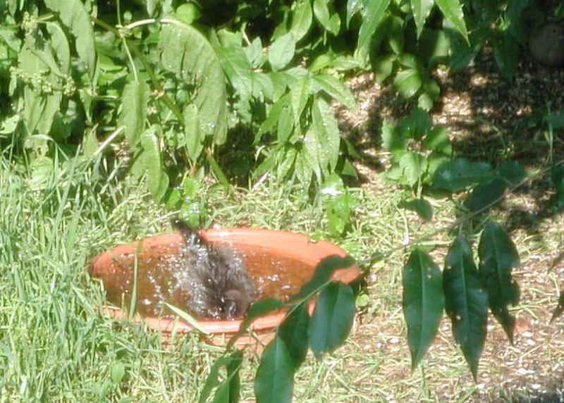 ....on a hot day.