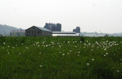 This former site of the Duquesne Works now growing up to weeds