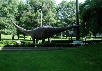 Nope! It's diplodocus...plant eater.