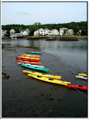 Kayaks at low tide