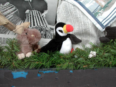 Puffin in Goodwill window in case I couldn't get this....