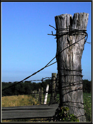 Country fence (farm)