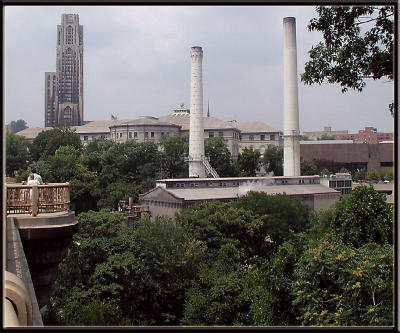 Museum & Cathedral of Learning from Schenley Park Bridge