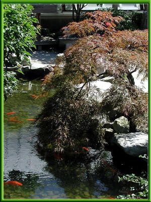 Japanese Garden