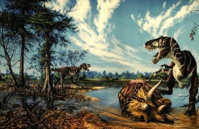 Dino Pict on Wall of display