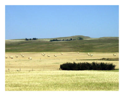 Montana fields look like Dakota fields