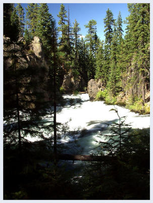 Benham Falls...not a good shot, but I wasn't going to walk a mile and come away with nothing!