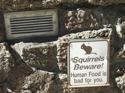 If only squirrels could read!!