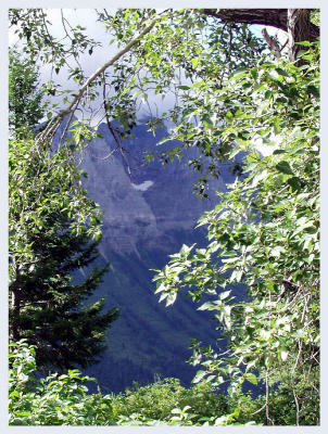 Mountains through trees