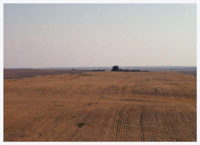 I would have to keep posting similar photos to share the vastness of this flatness.