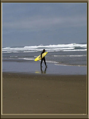 Surfing is a favorite recreational activity