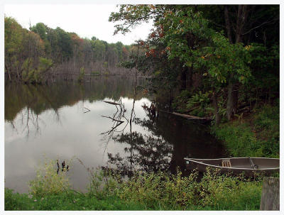 Almost Autumn (river, reflection)