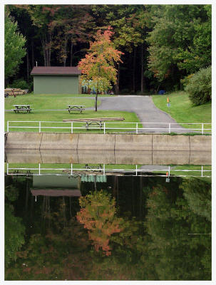 Twin Trees (fall foliage, lake, reflection, water)