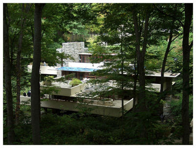 Fallingwater from above