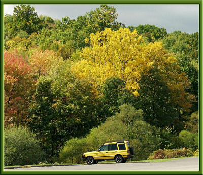 Yellow (fall foliage, jeep)