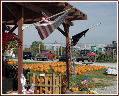 Flowers & Flags: Farmers are patriots too!