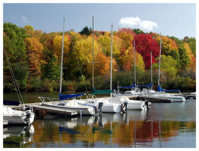 Fall boats at Moraine (foliage, sailboat, dock)
