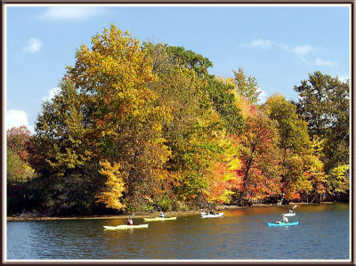 It's a beautiful day for kayaks! (foliage, lake)