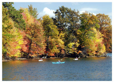 More kayaks (fall foliage, lake)