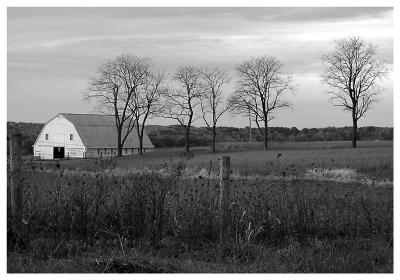 Another Barn (barn, farm)