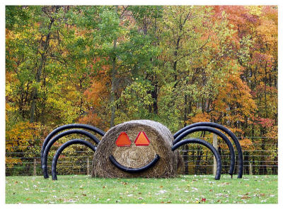 Hay, Miss Muffet! (spider, Halloween, farm, hay)